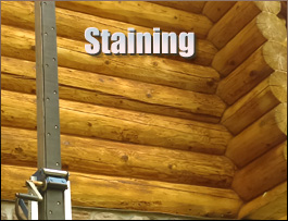  Moseley, Virginia Log Home Staining